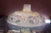 torch-sh-1.jpg (548348 bytes)